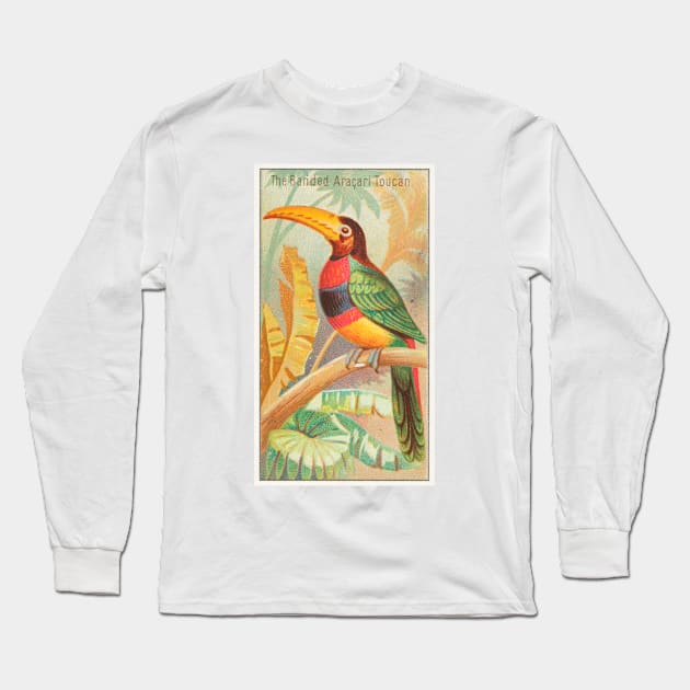 The Banded Aracari Toucan Long Sleeve T-Shirt by WAITE-SMITH VINTAGE ART